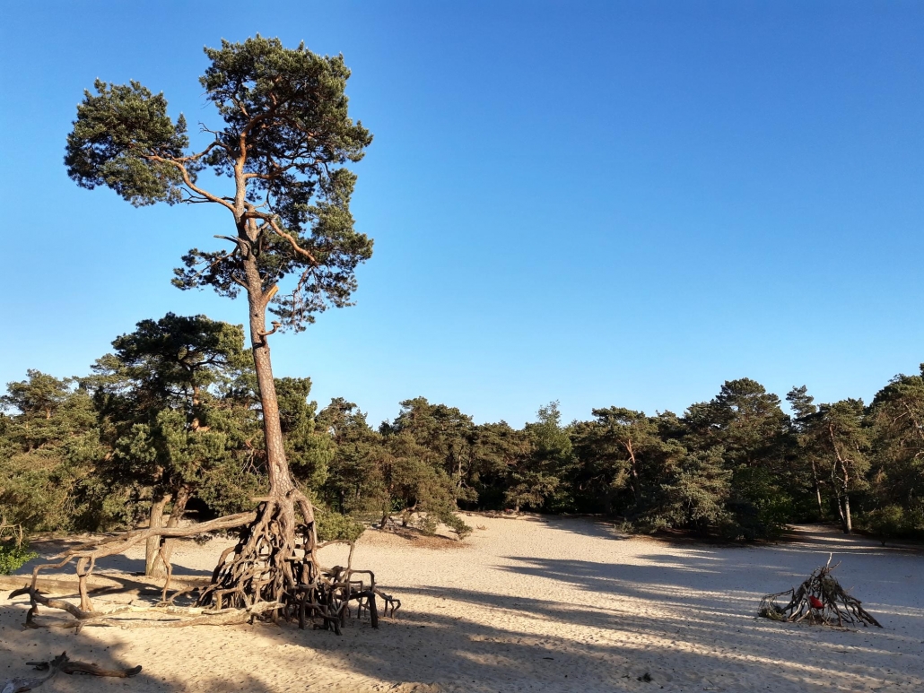 Mooie wandelplekken in Utrecht