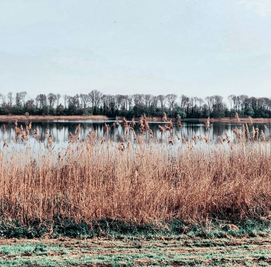 Stadsstranden — Leven in Utrecht