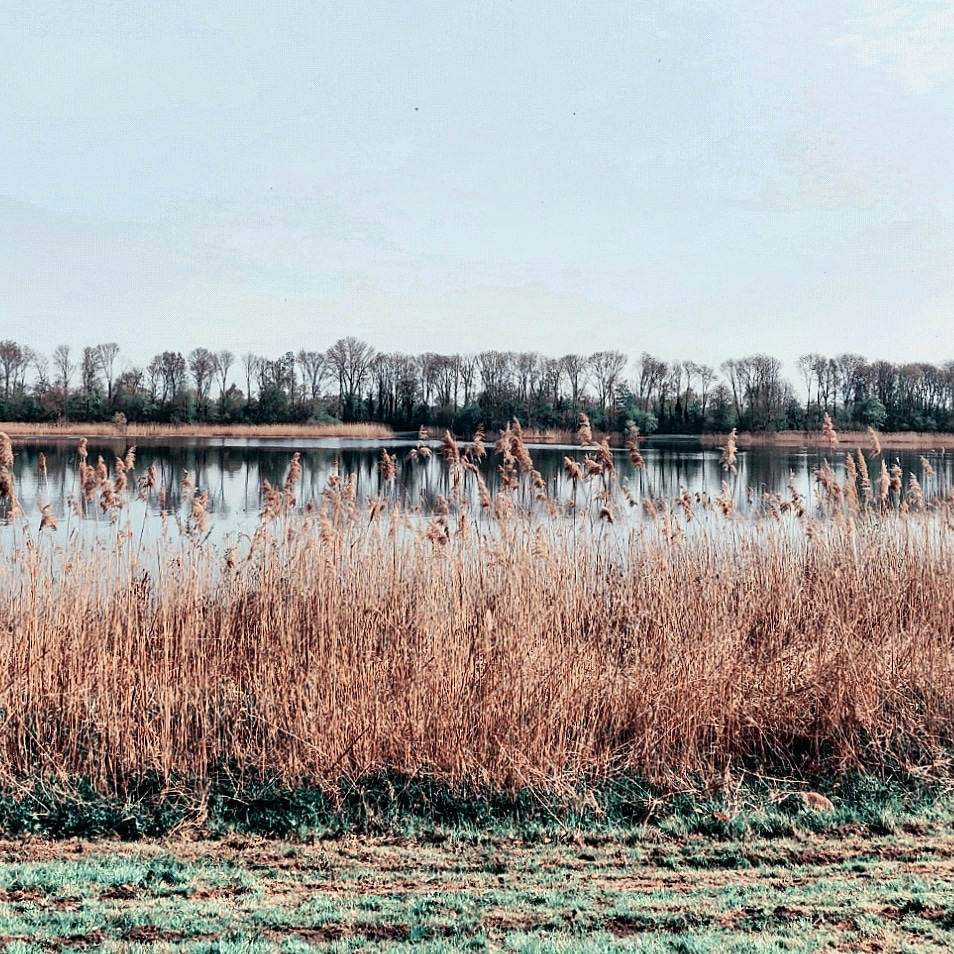 Mooie wandelplekken
