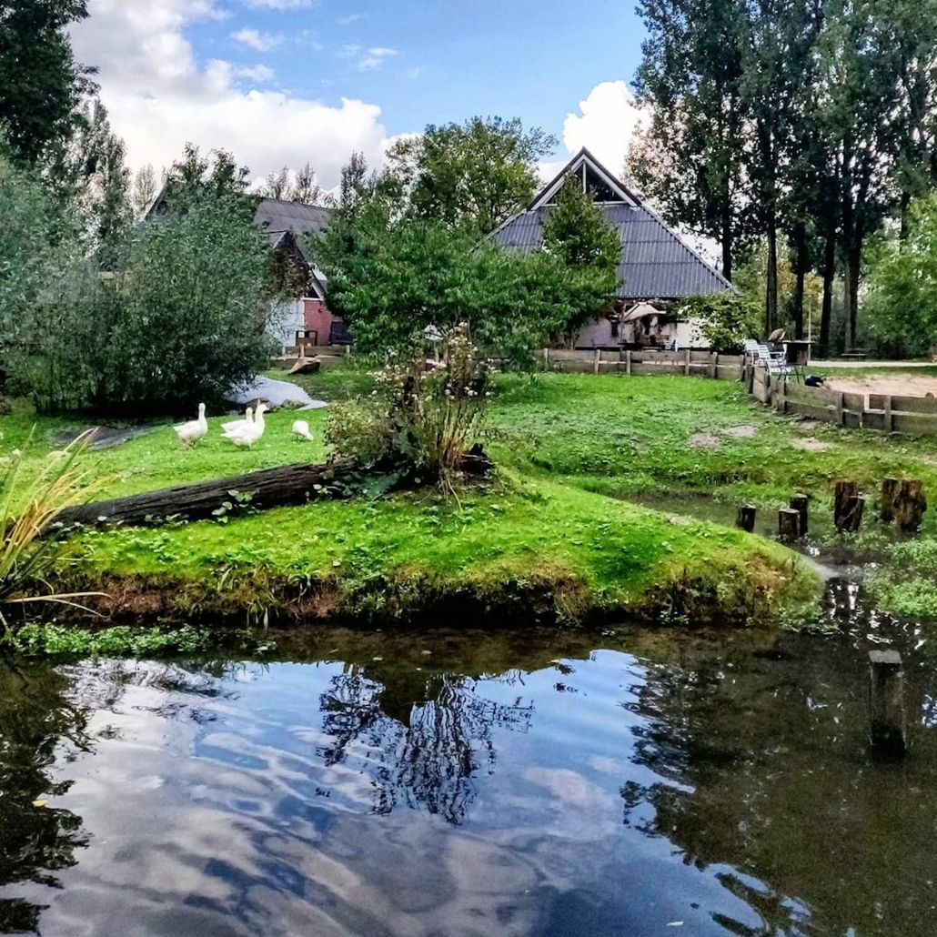 Mooie wandelplekken in Utrecht
