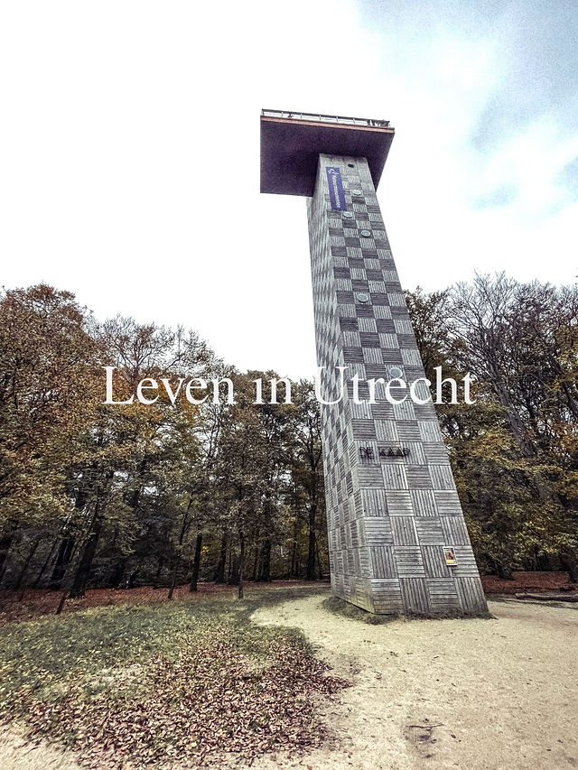 Gezicht op de Utrechtse grachten